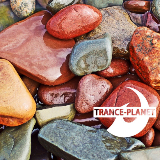 Trance-Planet 566
