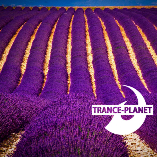 Trance-Planet 537